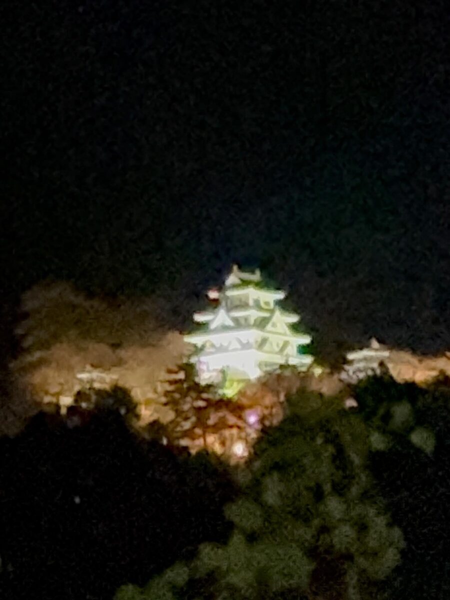 Instagramを更新しました！