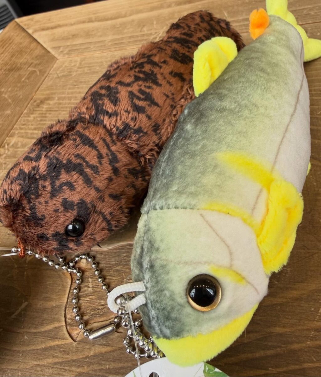 Instagramを更新しました！