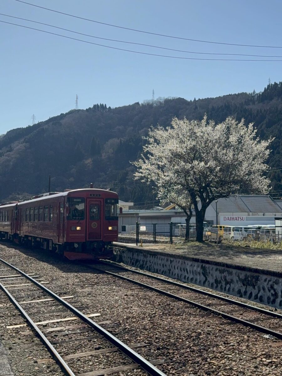 Instagramを更新しました！